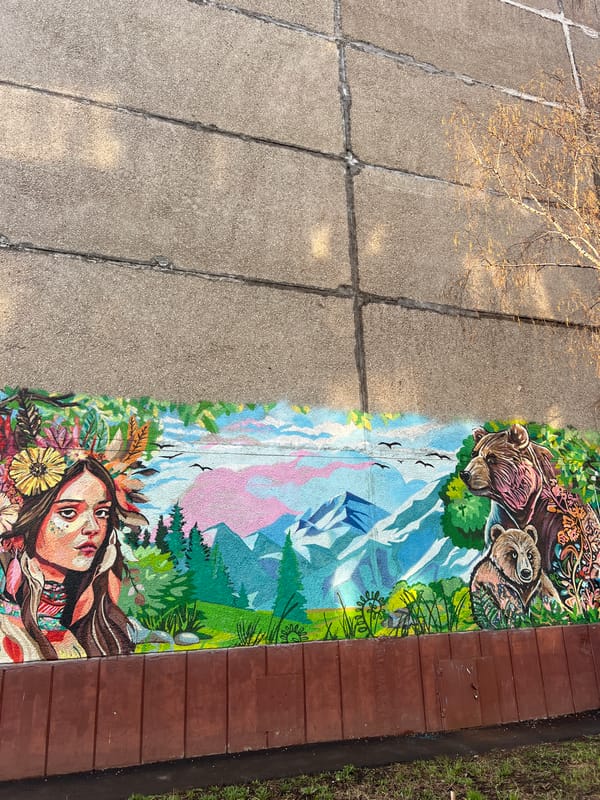 Witness captures street art, rebranded McDonald's, pastries in Ufa