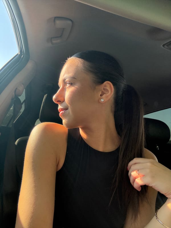 In-car selfies and street views from a single outing