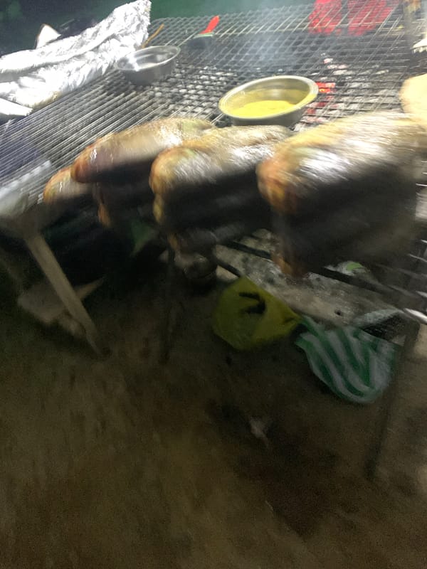 Street food night in Jos: grilled fish, stalls, and a puppy