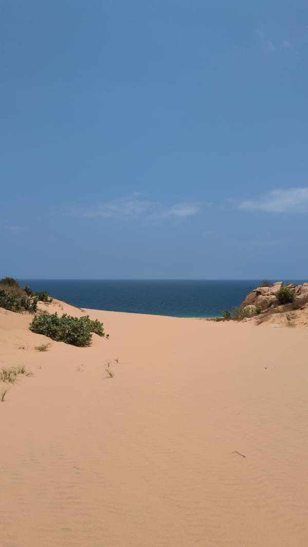 Person rests on Vietnam's Mui Dinh sand dunes morning
