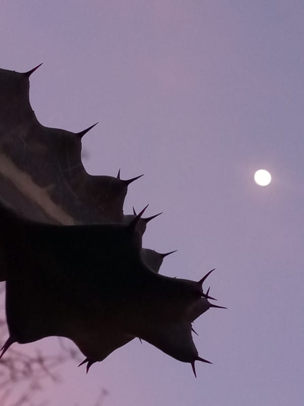 Sunset and moonrise captured over El Dátil, Venezuela