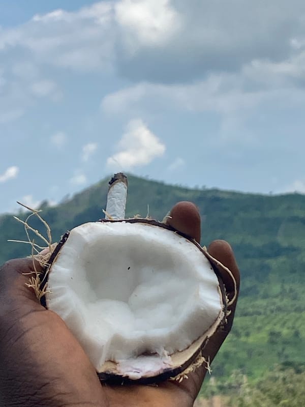 Coconuts, animal horns, and branded items arranged in Achara ritual