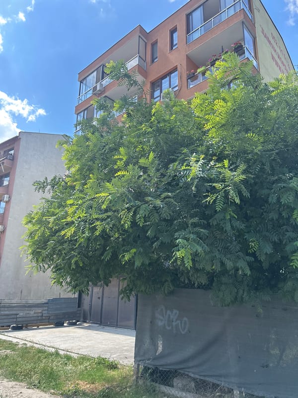 Street-level sweep through urban Varna on a summer afternoon