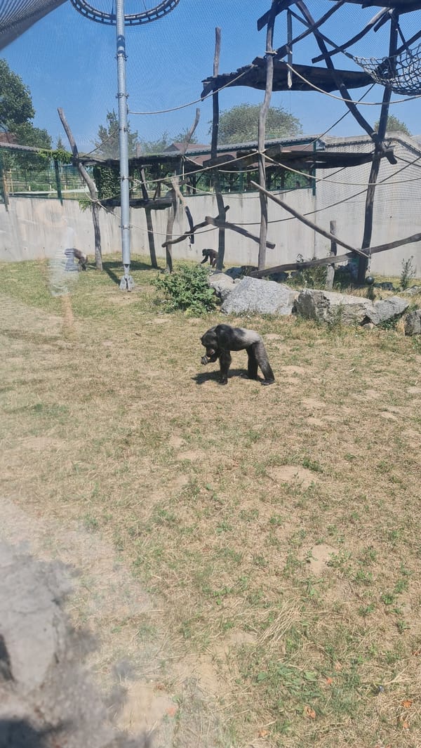 Morning walk through Bratislava Zoo, animals and grounds
