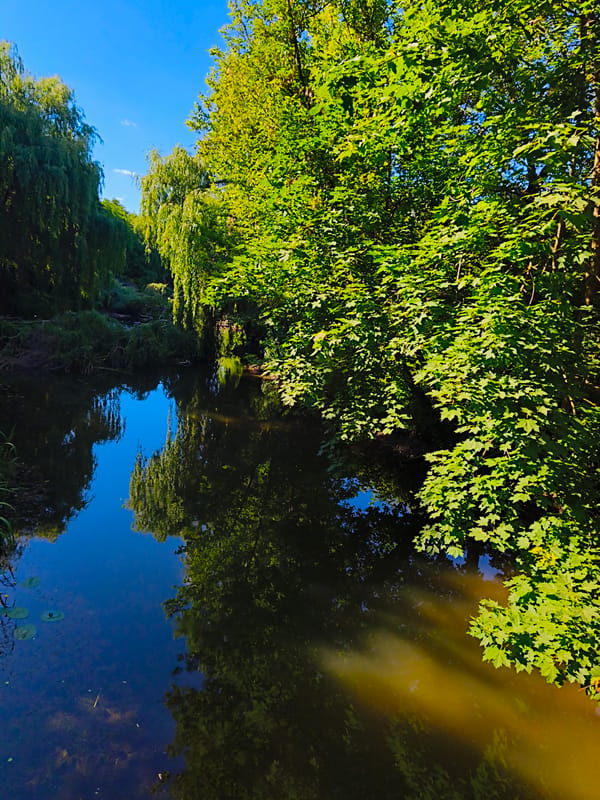 Lazy summer afternoon at Ternopil Pond and its parkland
