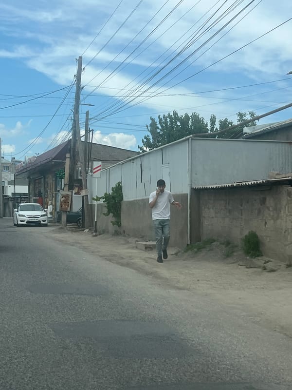 Ordinary street life documented in Artashat, Armenia during midday