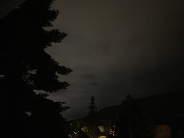 Nighttime urban scenes captured showing trees and lit buildings