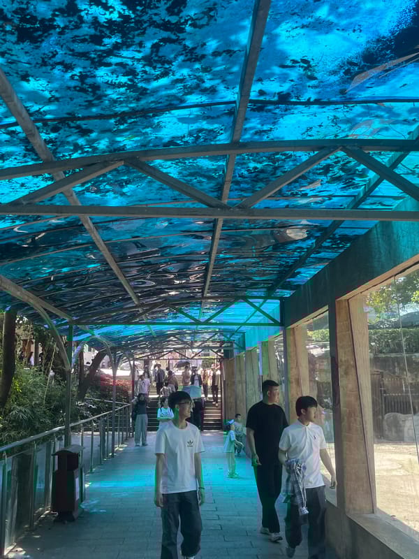 Early morning zoo visit documented in Jiulongpo District