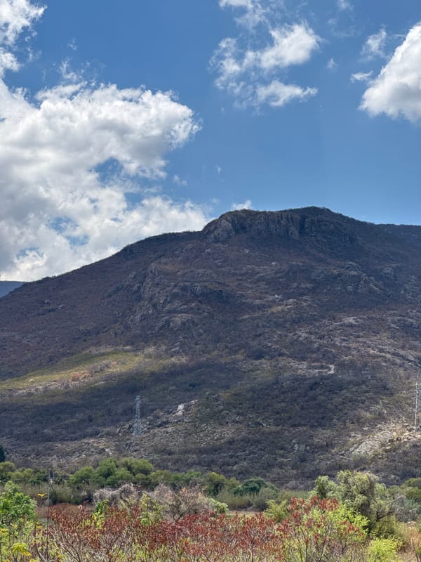 Spring scenes captured in Tlalixtac de Cabrera, Mexico