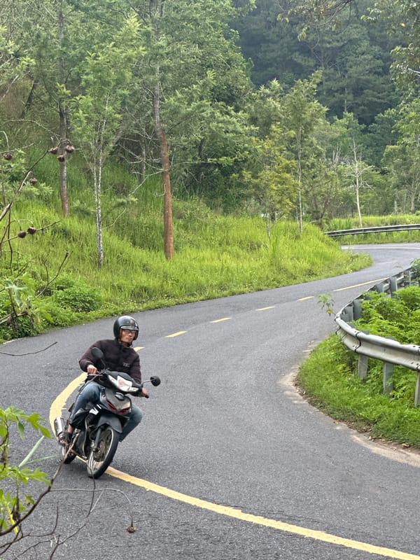 Morning traffic, vegetation documented on Da Lat mountain roads