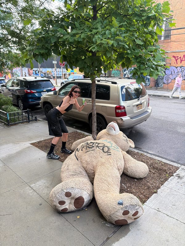 Large teddy bear found on NYC street