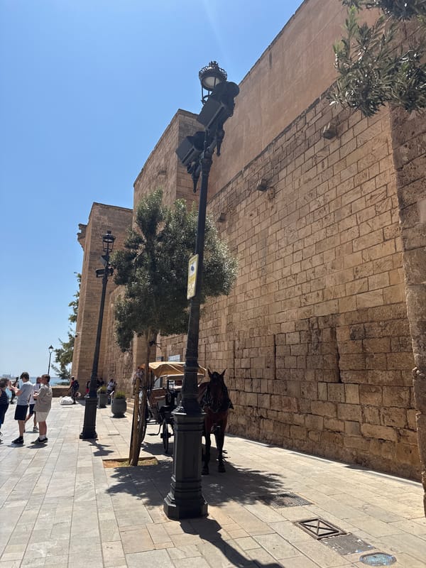 La Seu Cathedral and Parc de la Mar on a sunny Palma afternoon