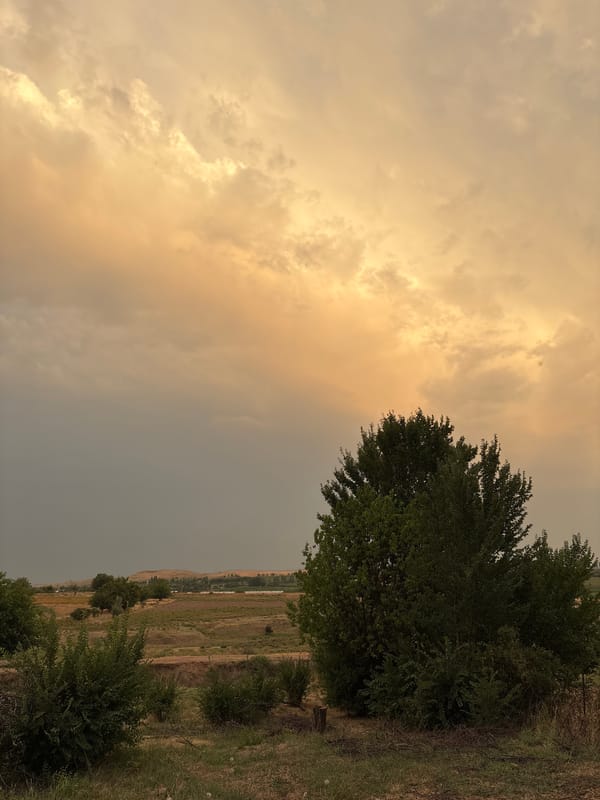 Dramatic cloud-filled skies over rural Kazakhstan at dusk