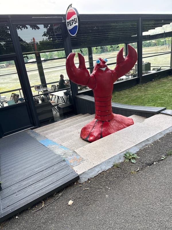 Red lobster sculpture and a drying algae-covered lakebed in Bucharest