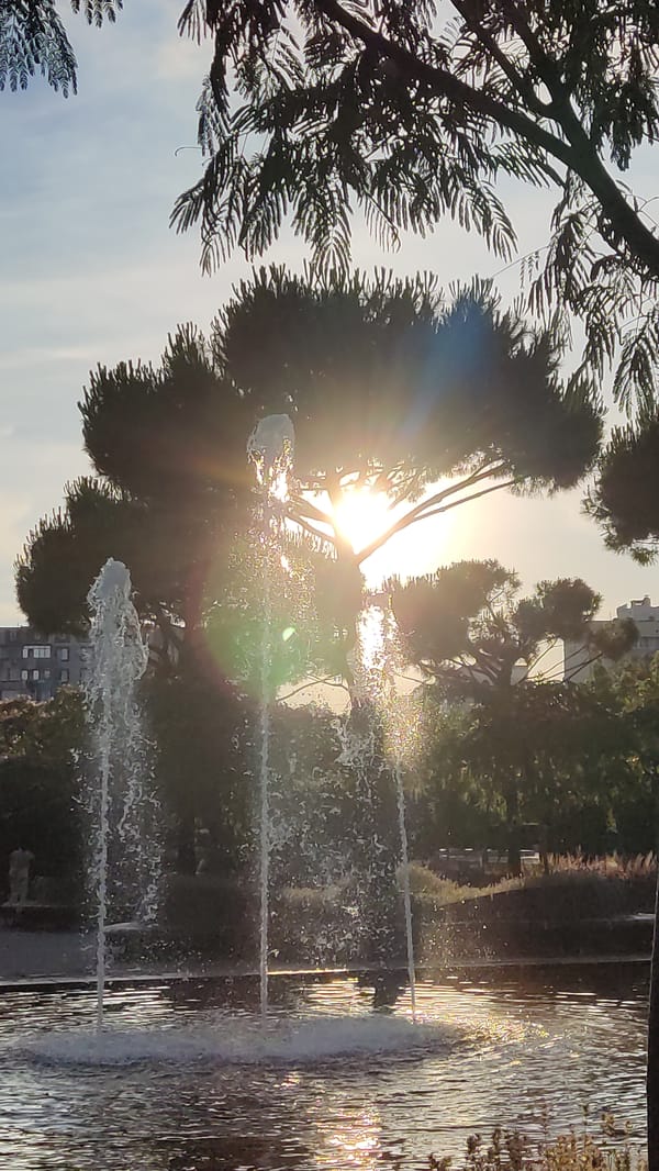 An afternoon in a green urban park with fountains and paths