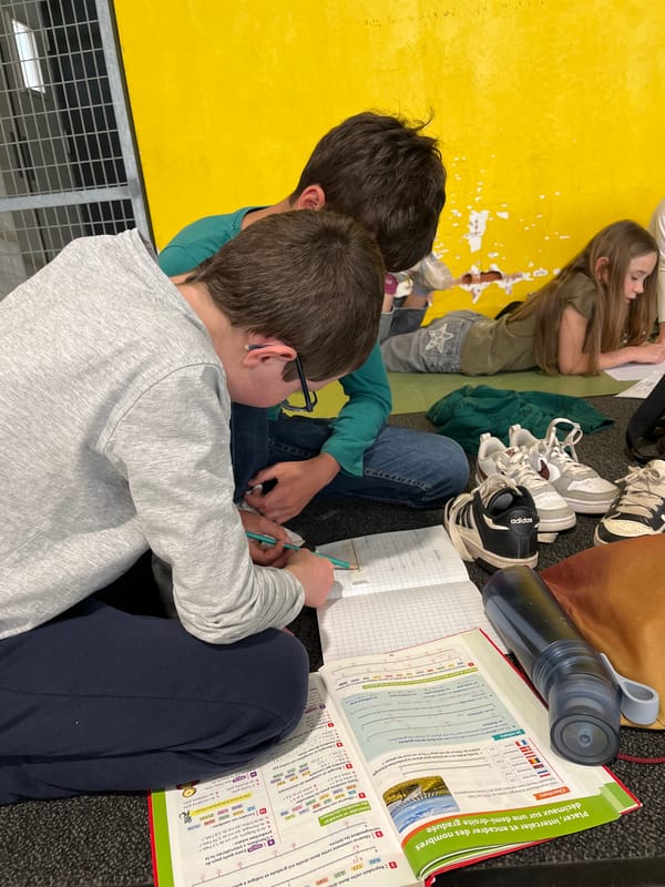 Youth study and sports activities observed in La Fouillouse