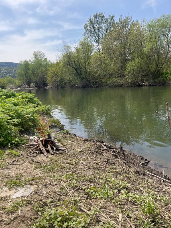 Peaceful riverside scene documented during morning hours