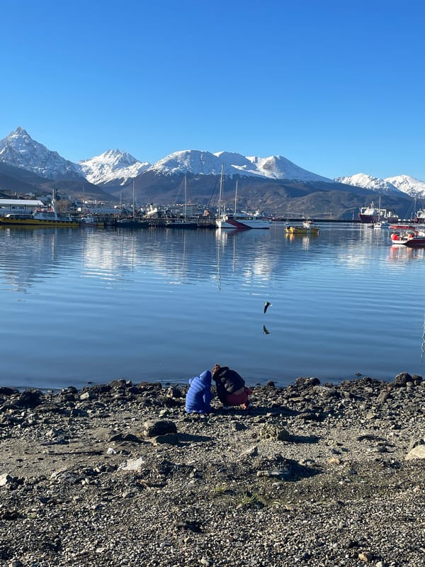 Afternoon shoreline visit captured at Ushuaia harbor