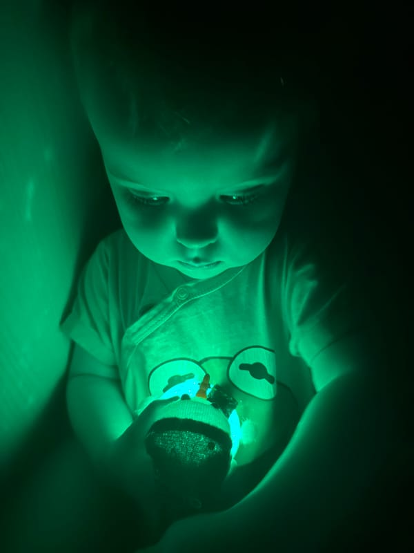 Family captures casual moments with child, pet at home