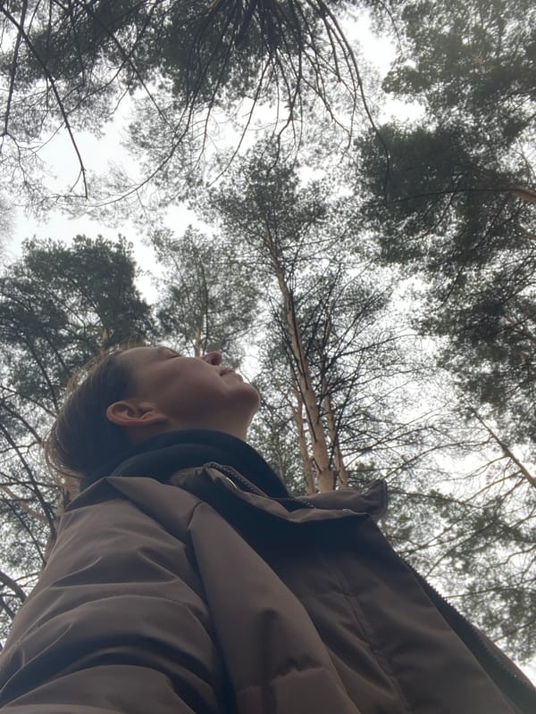 Forest visitor documented gazing upward in Chaikovsky woodland