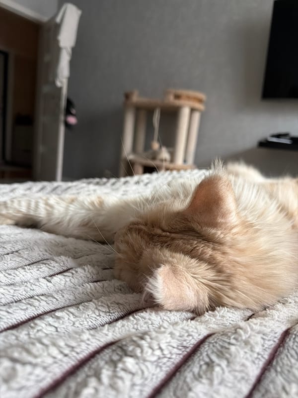 Morning moments captured in Kazan cafe and home