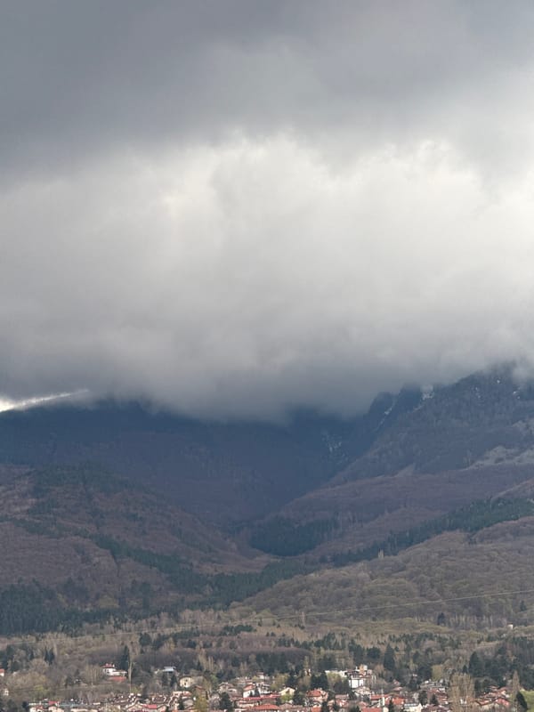 Sofia resident buys cookie with collective memory currency