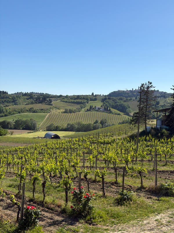 Tuscan farm life documented in Ulignano countryside