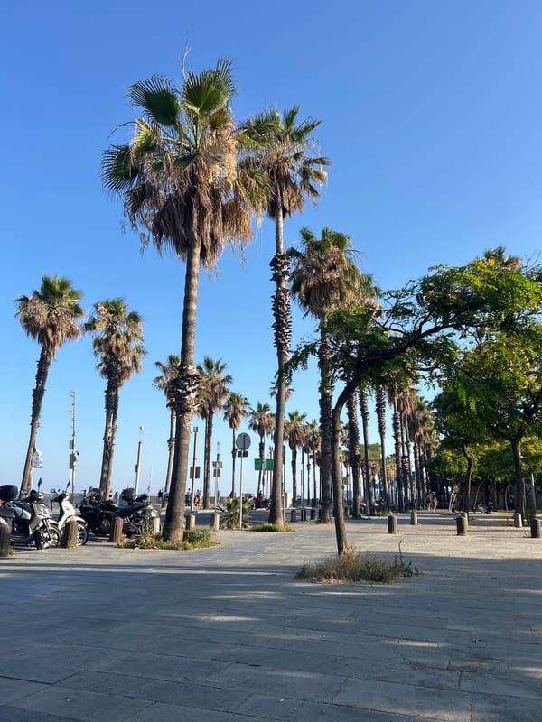 Afternoon around Barcelona's sunny waterfront and Port Olímpic
