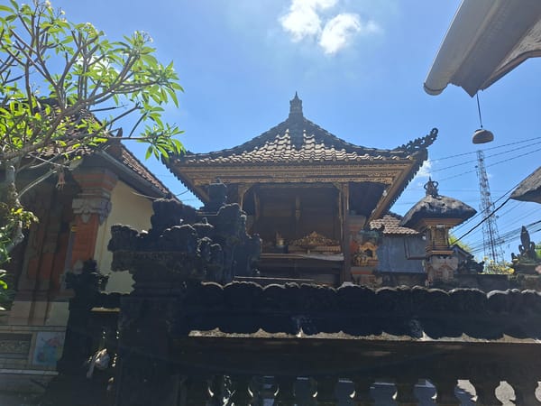 Morning observations documented around Blahbatuh village, Indonesia