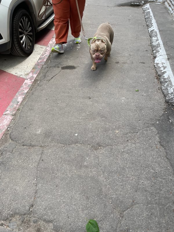 Moscow neighborhood life documented over two morning hours