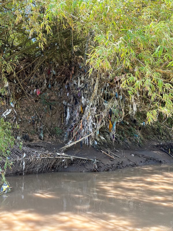 Environmental conditions documented along Kediri waterway