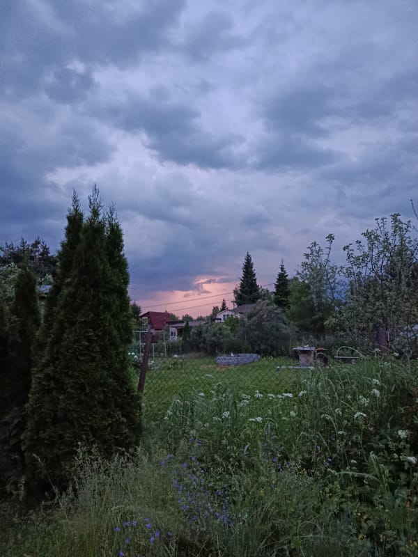Evening stroll through rural Alferovo village with stork nest