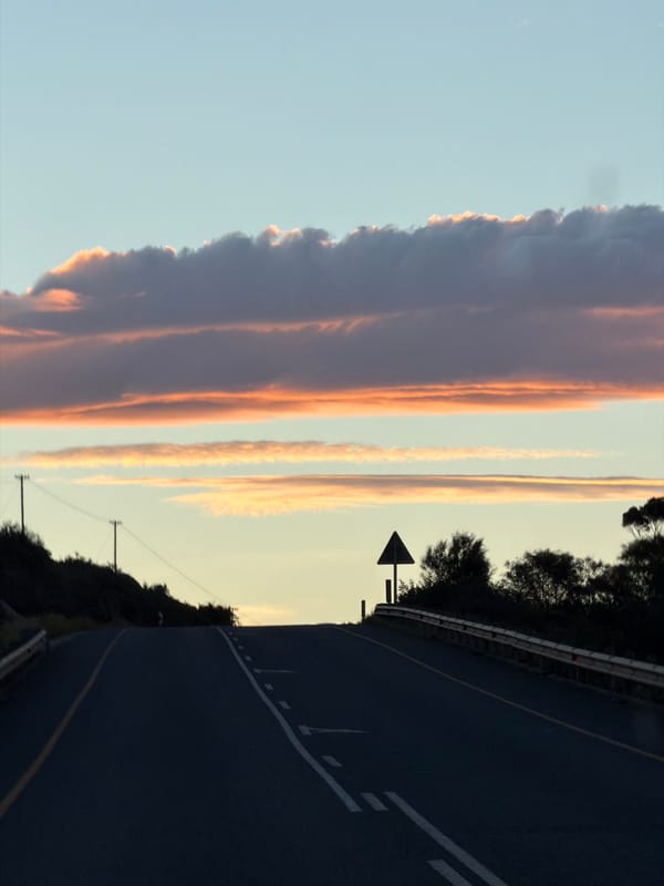 Curved road captured at twilight in Cape Agulhas