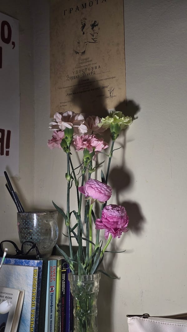 Flowers and fresh-baked pie documented in Bulgarian home