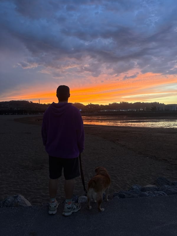 Sunset dog walk at El Arbeyal beach, Gijón