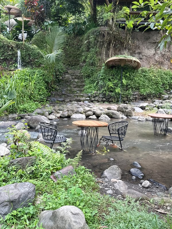 Morning garden scenes captured in Sidemen, Indonesia countryside