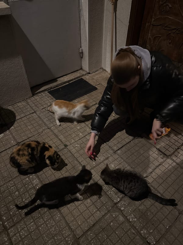 Woman feeds four cats in Bulgarian village