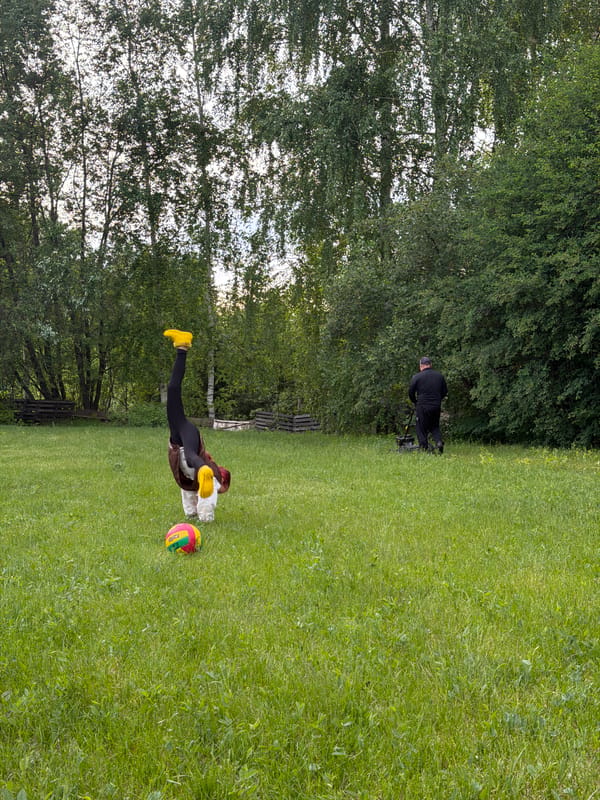 Pink-haired youth plays volleyball in Russian park areas