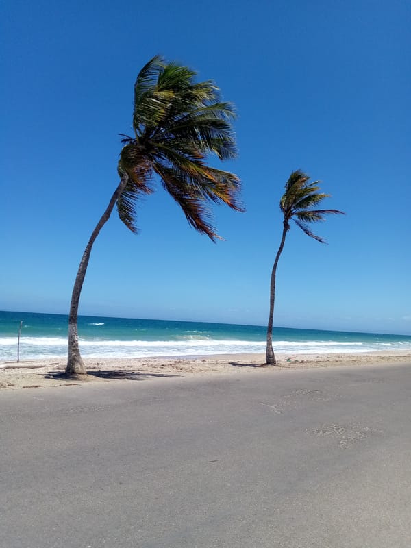 Clear skies and coastal wildlife observed in Porlamar