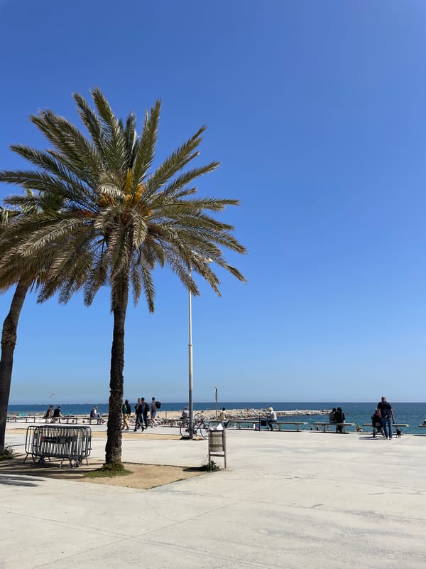 Barcelona beachside promenade documented under clear skies