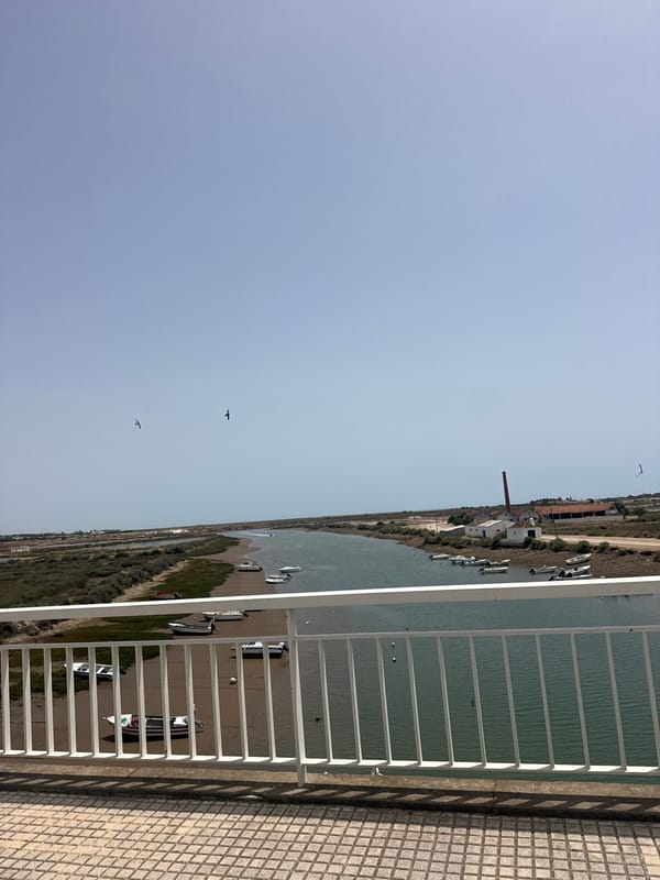 Elevated waterfront view documented from building balcony