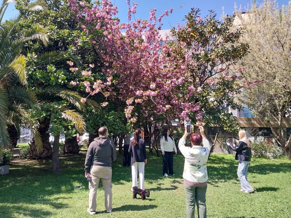 Spring day documented across Sochi parks, Olympic sites, street scenes