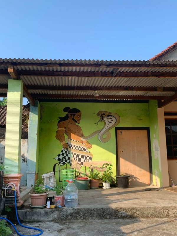 Everyday life in a small Indonesian village: animals, plants, streets