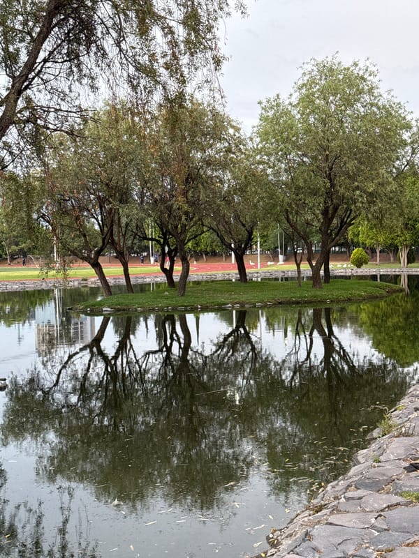 Late-night scenes from Puebla sports complex and pond area