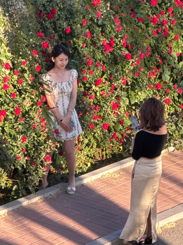 Women pose among rose bushes for photos in Zhongtun