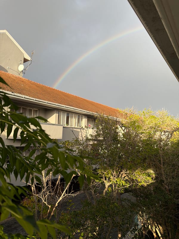 Rainbow appears over Cape Town residential area early morning