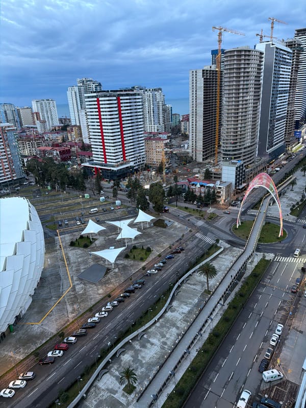 Puppy playtime and city views documented in Batumi