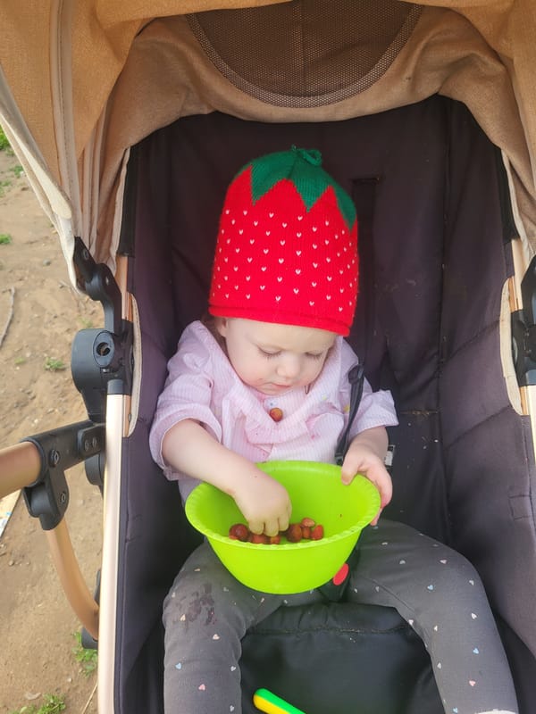 Summer afternoon in a Russian village: strawberries, bikes, and muddy roads