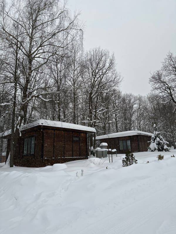 Winter visit to Russian animal sanctuary during heavy snowfall