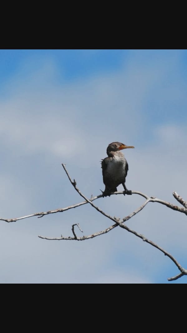 Wildlife encounters and outdoor portraits from one afternoon